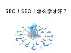 seo教程：seo技術(shù)不會(huì)因?yàn)椴欢廊? class=