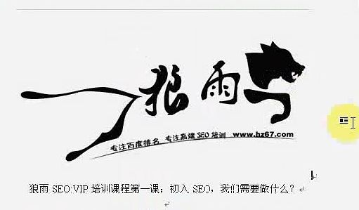 狼雨seo視頻教學(xué)教程全集在線觀看