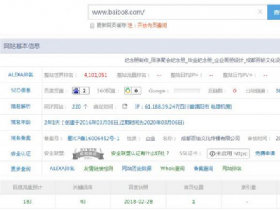 新網(wǎng)站如何做seo？小白站長實操案例！